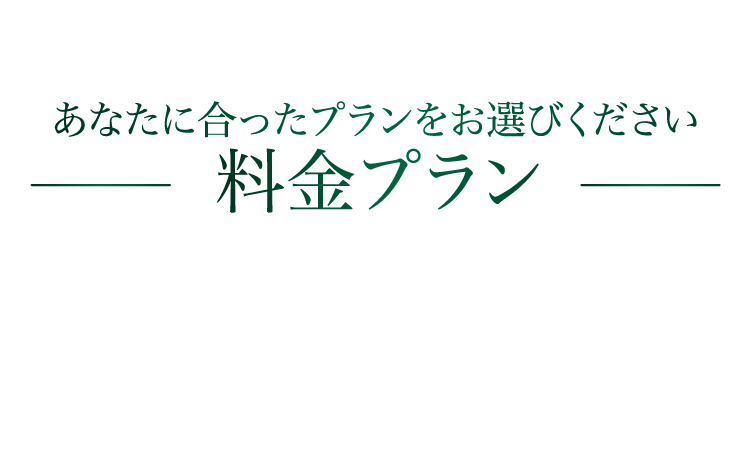 料金プランタイトル